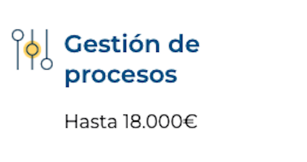 Gestión de procesos ERP Kit Digital